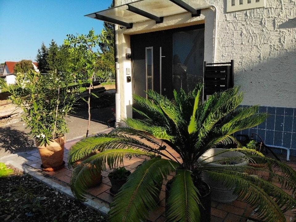 Gemuetliche 3 Zimmer Wohnung Mit Grosszuegiger Terrasse Im Gruenen Reutlingen Extérieur photo